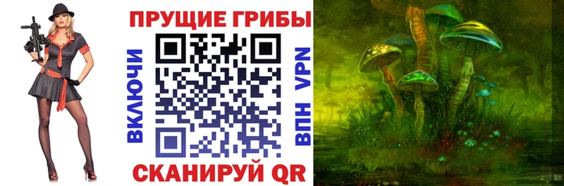 kraken онион Коломна Псилоцибиновые грибы Cubensis